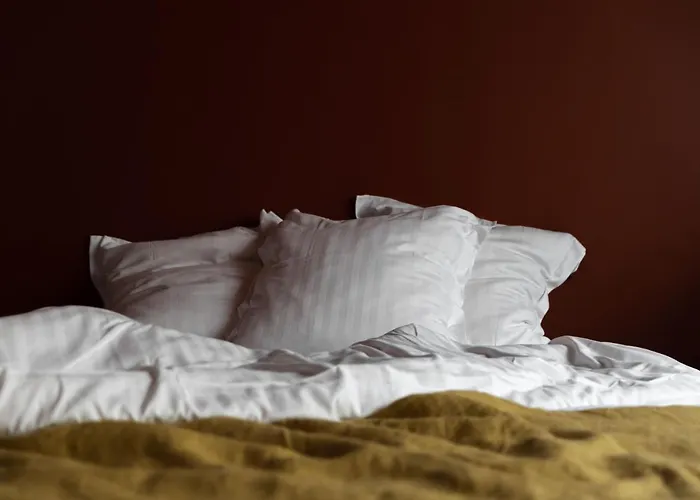 2bis D'hôtes Couette-café